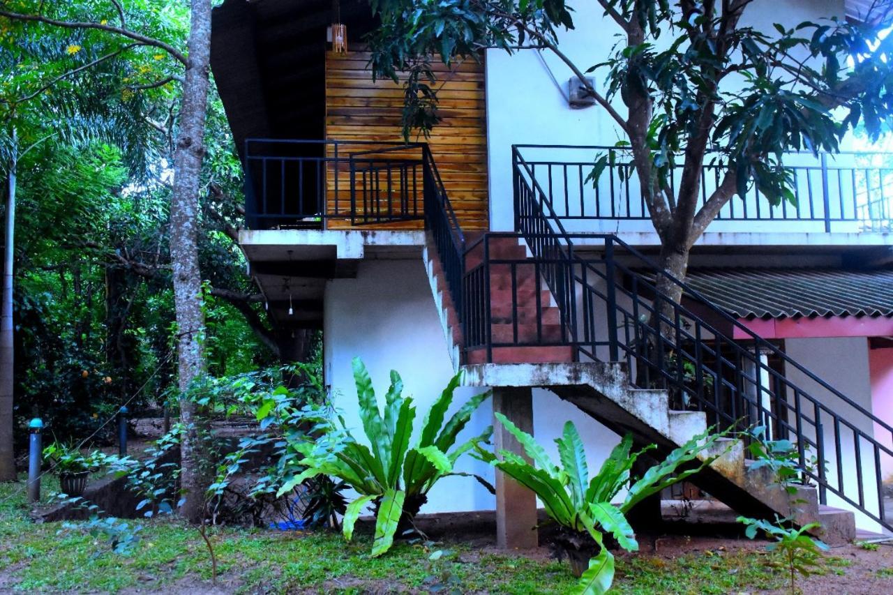 Hotel Wild Heaven Udawalawe Exterior foto